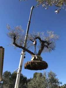 Aménagement extérieur à Tourrettes-sur-Loup
